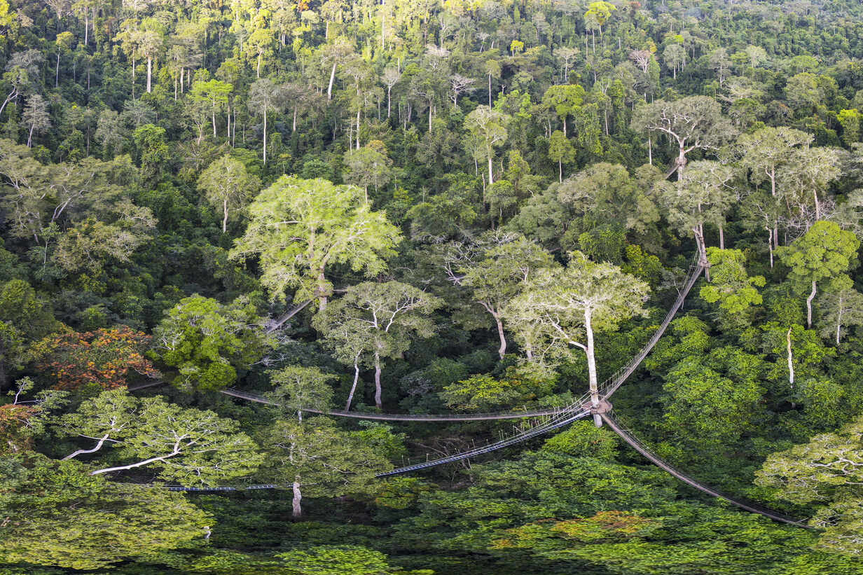 Photograph of Kakum National Park